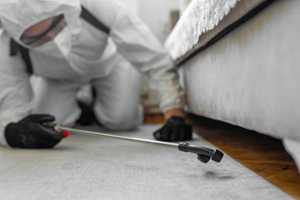 Professional Bed Bug Control technician working in Florissant, MO
