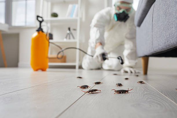Trusted Bed Bug Control service in Florissant, MO - Nex Pest Control