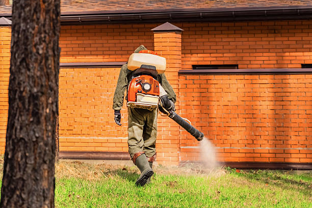 Trusted Emergency Pest Control service in Florissant, MO - Nex Pest Control